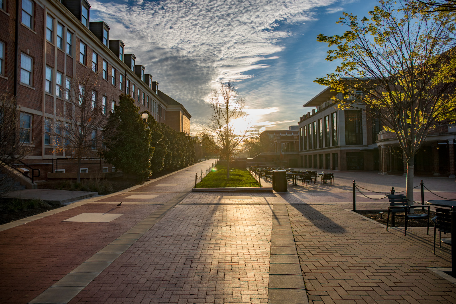 Campus at sunset